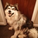 159609836 451016296317144 2295741449571086273 n