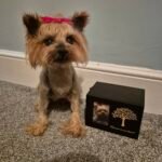 Pet dog taxidermy memorial UK