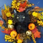 whimsical Halloween gothic cat taxidermy UK