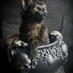 Halloween Gothic fantasy cat taxidermy artwork
