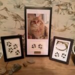 Pet Memorials 269724482 10223201952031477 9050243546599391931 n