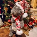 Christmas themed rabbit Taxidermy UK artwork