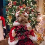 Whimsical rabbit taxidermy in festive floral display cottagecore