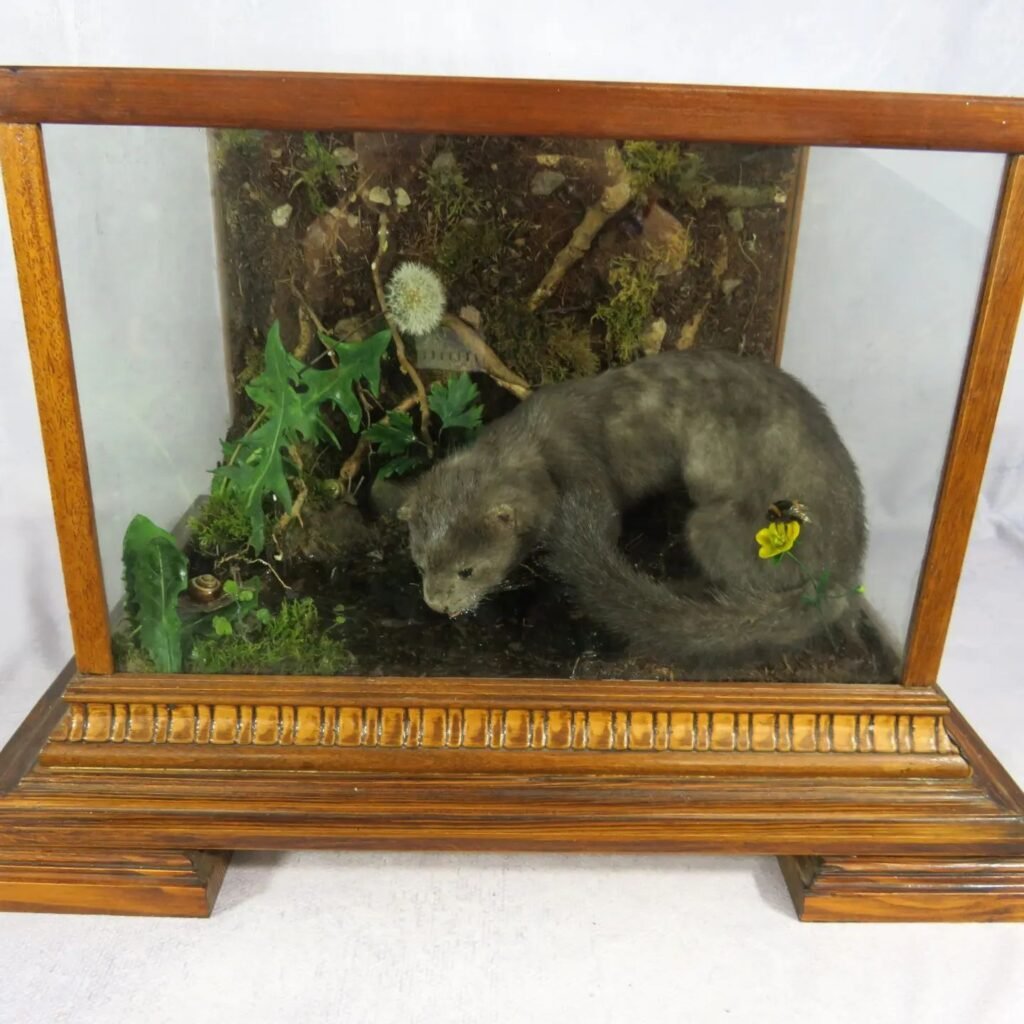 374119083 769328414996429 2162906643731464863 n