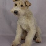 Pet dog taxidermy memorial example UK