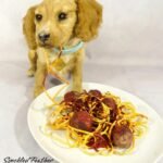 Ethically preserved domestic dog memorial created through pet taxidermy fantasy whimsical