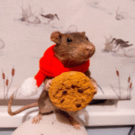 whimsy taxidermy cottagecore costume rat