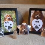 Pet Memorials mem1