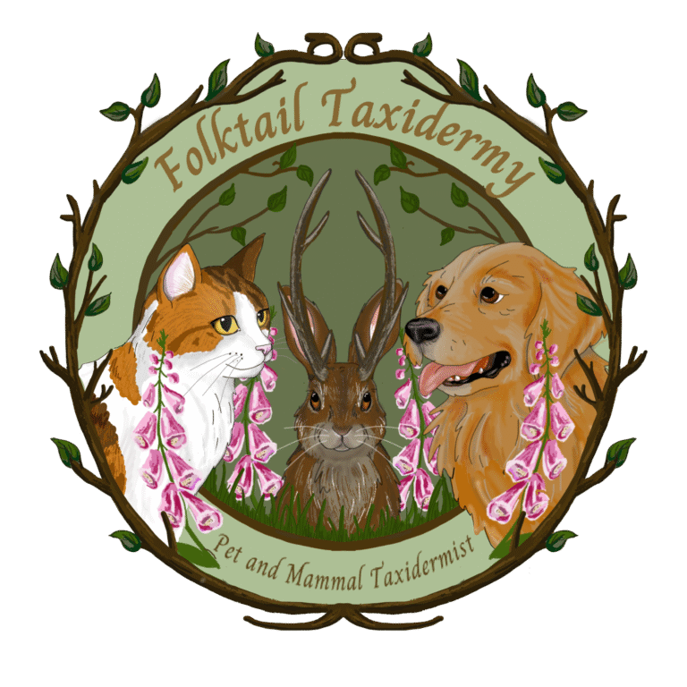 thumbnail logo 1 (1)