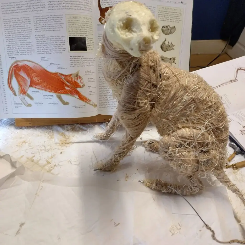 474390639 1079180164011251 282244097710725684 n