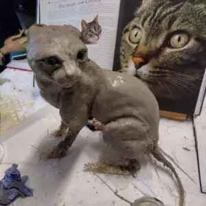 474479006 1079180997344501 7691266427110787290 n