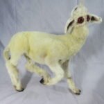 Ethically preserved lamb displaying natural developmental abnormalities