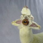 Lamb specimen with natural congenital anomalies preserved for study